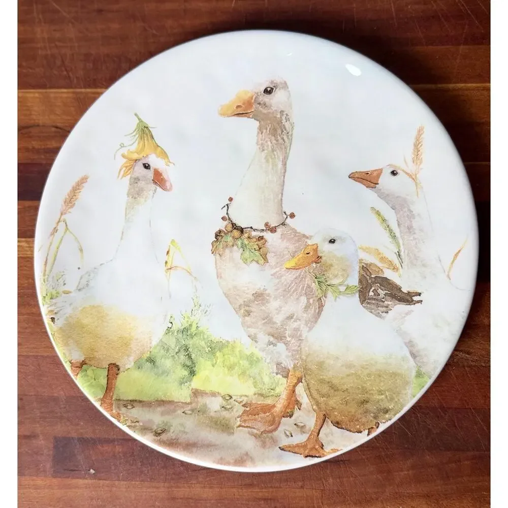 Whimsical Geese Plate | Pier 1 Cottagecore Farmhouse Kitchen Decor
